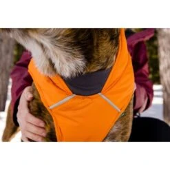 Ruffwear Quinzee™ Hundejacke Orange M -Ruffwear Verkäufe 2024 001bdf29a34dffebf7840b4a759030f83c299732 1370013 de DE 17dd615b14a3a705025267b6458fddf099eb308bn8H5c2