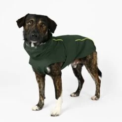 THE DOG IDEA Regenmantel Duke Oliv XXXS -Ruffwear Verkäufe 2024 02afa769d31b57488c2d6ad6ebfaf7cf491d543b 1472982 de DE 64557359b1954a78585705410ad9c938f92b5befQTcb4l