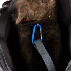 Doctor Bark Hundetragetasche Grau M -Ruffwear Verkäufe 2024 03f00f317766866df9758788ab4f17529834208e 8a36e572228f667afc46c66ada064da9d5cd2b75