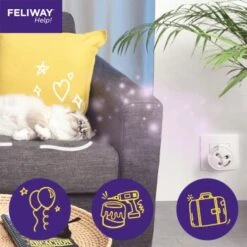 Feliway Help! 7 Tage Start-Set Zur Vorbeugung Von Stress 17 Feliway Help! 7 Tage Start-Set Zur Vorbeugung Von Stress -Ruffwear Verkäufe 2024 044d422b471981f054c55a69659061ddae24a2dc 1380136 6