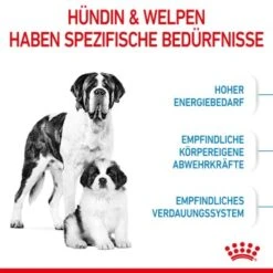 ROYAL CANIN Giant Starter 15kg -Ruffwear Verkäufe 2024 04dba5b27937fabea6cdab520dec33c0ee4cbbf8 3182550778831 4