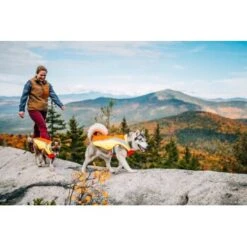 Ruffwear Lumenglow™ High-Vis Hundejacke Orange XL -Ruffwear Verkäufe 2024 055f8ec457e40b7d33e9c275c20ea79bae1e006a 1378153 de DE e8b1f6094bc39d07bc90bd4fe7fc0806cf22bedaBId7iB