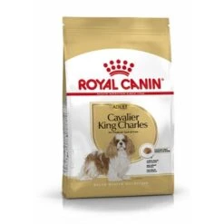 ROYAL CANIN Cavalier King Charles Adult 7,5 Kg -Ruffwear Verkäufe 2024 068da0c4f5e0ddebf0fb3634d55d511dac13425c 1052726 de DE rc 1