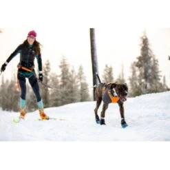 Ruffwear Cloud Chaser™ Hundejacke Schwarz XXS -Ruffwear Verkäufe 2024 06cfa3a745821d84428a1de78da0089ce33c0271 1369623 de DE 87163fc3e147e303fdf97d4ab87fd720c4f34a96nSWmMF