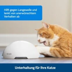 PetSafe Automatisches Katzenspielzeug Fox Den -Ruffwear Verkäufe 2024 08408a2d9006c3b10c605053b082403622980ada 1351524 de DE 8502feb5da21e0ab937dc8c82ecaeac4aebee886lllVcE