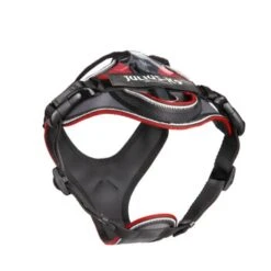 Julius K9 JULIUS-K9 IDC Longwalk Rot/ Grau XS -Ruffwear Verkäufe 2024 08bdcefa8b4fef70cae2dcb79e97594cc4967a61 1346666 de DE K9 2