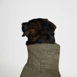 THE DOG IDEA Bademantel Every Khaki XXXS -Ruffwear Verkäufe 2024 08d4ec498c585cdadfada6a4c3297d6f4c28d816 1473018 de DE 537902d50a13ec441ccfea84817fdb2f9ffb8d39pqXbmK
