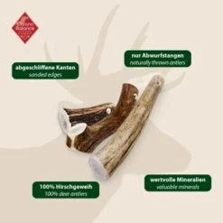 ChronoBalance Rothirsch Geweihstange Ganze Und Runde Stücke 300 G 11 ChronoBalance Rothirsch Geweihstange Ganze Und Runde Stücke 300 G -Ruffwear Verkäufe 2024 08e6e76c5c3e8863d054d54fbc69325510bb6eb3 1409643 de DE 97f6faa2e066481717c6e9970bb381a3824303b8rqJ9OV