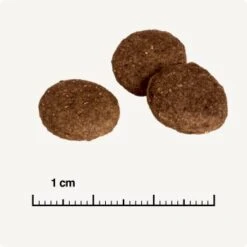 REAL NATURE Country Selection Andalusia Rind Mit Spanischem Kaninchen 12 Kg -Ruffwear Verkäufe 2024 0a7fce7b39ad9a46e9b5bd24525cc5f14df99cb4 1325173 de DE 6