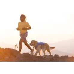 Ruffwear Trail Runner™ Weste Blau XS -Ruffwear Verkäufe 2024 0b5b007ea11304fa0e12a2aa87d6cc6d6e6417b8 1639640 de DE dd2f81006cc91bb9a3794f38bc8a64c6efb41dd51MouDb