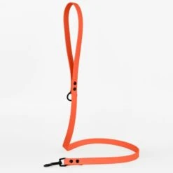 THE DOG IDEA Cityleine Biothane Orange -Ruffwear Verkäufe 2024 0d44abd82f8ca3f4a71baafeba44fdea2a812bc2 1492085 de DE 8b8b8f2b3e2303eea9a311b204ff00cc024d264aD4CQyv