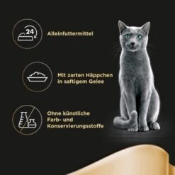 Sheba Delikatesse In Gelee 22x85g Huhn -Ruffwear Verkäufe 2024 0d48f2e0acf38e32e3c1236a212b090b82ffaf01 0cd2b7b738dcd563631f5dd17b5ef2c1564df9e9