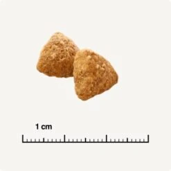 SELECT GOLD Light Adult Geflügel & Reis 2,5 Kg -Ruffwear Verkäufe 2024 0e0cb7fda9cc7a96a9f2c0e4965d8e2bbc043b5c 1243297 de DE 6