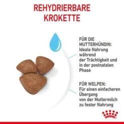 ROYAL CANIN Mini Starter 4 Kg 13 ROYAL CANIN Mini Starter 4 Kg -Ruffwear Verkäufe 2024 0fda11790a7e5aba46647ddede0bb225f67516a6 2e349f3084f2f17a2ea2c0846a4c5757c02259b4
