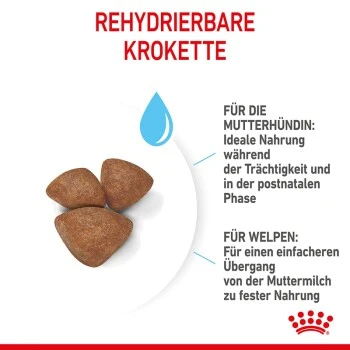 ROYAL CANIN Mini Starter 4 Kg 3 ROYAL CANIN Mini Starter 4 Kg – Bild 3