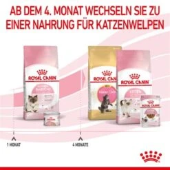 ROYAL CANIN Mother & Babycat 2 Kg 10 ROYAL CANIN Mother & Babycat 2 Kg -Ruffwear Verkäufe 2024 0fe8497acfc1380792b3bad8590087c6f2d67d34 3182550707329 6