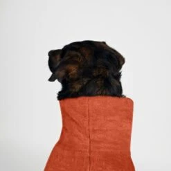 THE DOG IDEA Bademantel Every Steinrot XXXS -Ruffwear Verkäufe 2024 10410509d1d0eea3ab66e7b8af124697686dccb0 1473054 de DE 62a8dcdddb6a0b318c6c4f3bf4d375aaa0bbf316QzESry