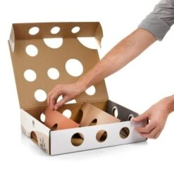 Canadian Cat Company Katzenspielzeug MagicBox -Ruffwear Verkäufe 2024 142300badb79cca7ad6d02f165f6adb72822700a 1361887 de DE 0a0d8e236e46b38b19bc65d2f7a8b14b65d84da00feNa3