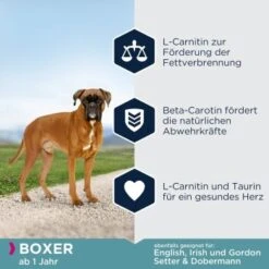 EUKANUBA Breed Specific Boxer 12 Kg -Ruffwear Verkäufe 2024 150ce633efb06df2286f6b436dd0b99ce4031557 35ba2b1deb9369de7faf09856f79dd7dd41aa4c5