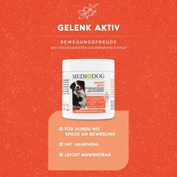MediDog Gelenk Aktiv Tabletten 2 MediDog Gelenk Aktiv Tabletten – Bild 2