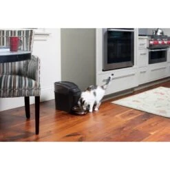 PetSafe Simply Feed Futterautomat -Ruffwear Verkäufe 2024 162adf6a7738d5bf21e1a8f543a00d8bc113bc69 1239482 de DE b44f850e1b411ed2fa4a4391f952beef1a1d7530wtxP0K