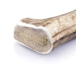 Larsson Geweih L Ca. 120-160g -Ruffwear Verkäufe 2024 16628a63cb387a462d77cd608be46a48db5f4900 1057933 de DE 747de37a3b9f5850a9906915adf22030bae8f825ucH14V