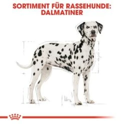 ROYAL CANIN Dalmatian Adult 12 Kg -Ruffwear Verkäufe 2024 16920604f9e9dcfee0ee13501016f0ddf85e9f26 39f146ce4f54c8f5642f1cc5e2cf52b8543b913b