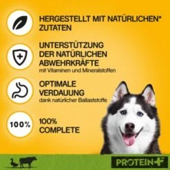 Pedigree Dose Protein+ In Pastete 12x800g Rind Mit Ente -Ruffwear Verkäufe 2024 1696c2b3fa0bb6b039068e7fe6dce0a8f30d7069 1394131 de DE pedigree 2