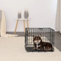 Lionto Hundetransportkäfig S -Ruffwear Verkäufe 2024 16bf4a7bda8913bd8d6759c333b8462422c25930 1657954 de DE 88d7762950e447e6280dda9dcc577106888c533eyg5v9p