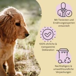 FAVLY Petfood Premium Naturkauartikel Kaninchenohren Mit Fell 360 G -Ruffwear Verkäufe 2024 1723031773900f8974b6582f7b858aabe5129f6d 1473998 de DE 803a18d1981b28cac6cbf941640c9f1c7007ec8b2gtdU1