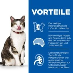 Hill's Science Plan Light Mature Adult 7+ Mit Huhn 7 Kg -Ruffwear Verkäufe 2024 172b6acbb24caf66178d710c08a2d84ed4deb860 52742761602 4