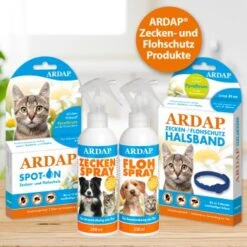 Ardap Spot-On Für Katzen S -Ruffwear Verkäufe 2026 178d15ac9da3c3d9fa67232babf72025c6818bc9 1150895 de DE 986a55c9a154810fd460d41d158e3ced050ed285C5pfll