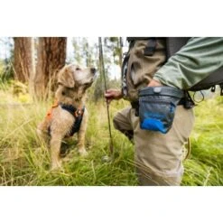 Ruffwear Treat Trader™ Leckerlitasche -Ruffwear Verkäufe 2024 186b7e425f598b12366c10ec7fcc813818c82e5a 1651410 de DE 3d11f6b873a5b5ccf59e40f905046c9bc48f73e4NRSYSc