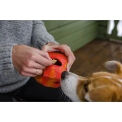 Ruffwear Gnawt-a-Rock™ Spielzeug Blau -Ruffwear Verkäufe 2024 18a32f6fd206d1a1fd4df8bb6663cd33f769d9d5 1639879 de DE b243dd683d9144eaac7a8d1e460c634ef96ee8c8AtipD6