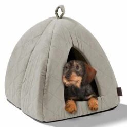 MORE Höhle Diamond -Ruffwear Verkäufe 2026 1901edb64570eb8cb38c0e72458280ff138dcb40 856e9f8ef094dc77c4e2ce9e6d85768bffa721c6