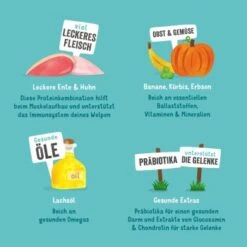 Edgard & Cooper Junior Mit Ente & Huhn 6x400g -Ruffwear Verkäufe 2024 192e4d47955dc866ec2b0108c3c64927f9773eed 1343000 de DE EC Junior EnteHuhn 10