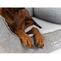 TrendPet VitaBed Style Orthopädisches Hundebett Grau S -Ruffwear Verkäufe 2026 1ab0715e2abedd704cef19debbfb3fb5005350f1 1390626 de DE 39c90883b3b1f108ce89c25d7bd76a1b2516b420pGeUjP
