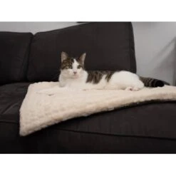 TrendPet Heaven Gefütterte Liegedecke Beige XS 12 TrendPet Heaven Gefütterte Liegedecke Beige XS -Ruffwear Verkäufe 2024 1cbcc70fb52cad4d647f2839fe0bd973c70c3194 1247692 de DE afe399b6e05ab9a3bb6e2580fd9749db565c2c4d5SMNrr