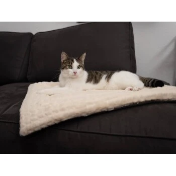 TrendPet Heaven Gefütterte Liegedecke Beige XS 3 TrendPet Heaven Gefütterte Liegedecke Beige XS – Bild 3