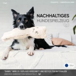 Freudentier Nachhaltiges Hundespielzeug Daniel -Ruffwear Verkäufe 2024 1d76f528eae39671e4d1834457219c343008a2d3 1408970 de DE eaef6ecd52d3d4c991411f4325e77d342eb1ce7eIH205L