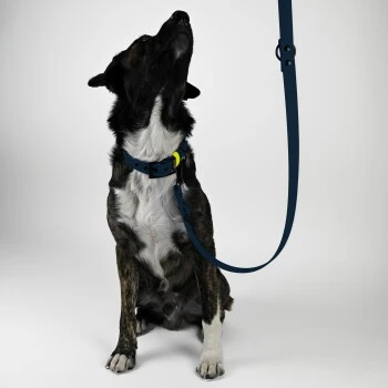 THE DOG IDEA Biothane Hundeleine Navy 2 THE DOG IDEA Biothane Hundeleine Navy – Bild 2