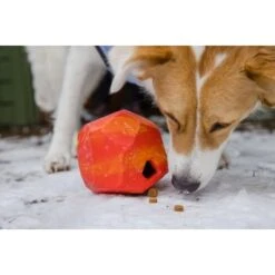 Ruffwear Gnawt-a-Rock™ Spielzeug Blau -Ruffwear Verkäufe 2024 1df4ce0c3e2b13b9dde849014a9b4637ff5fbf94 1639879 de DE 625c8d7bd239fd4e64b055b3b2574c1b5400a391xF45nb