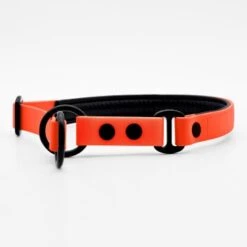 THE DOG IDEA Zugstopp Halsband Orange XS -Ruffwear Verkäufe 2024 1ed8fefef63b371ec4cda43f60e91d6f1ca94f50 1499712 de DE a31f6753e5b48355b1f0f63cd519e5adcd14cfd067hyQ3