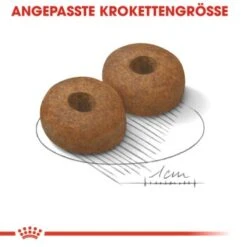 ROYAL CANIN Maxi Ageing 8+ 15 Kg -Ruffwear Verkäufe 2024 1f74576074b08980312d66192abbc5a6880d5273 2360df0e5dfbf003993ef0adda759c1148140b01