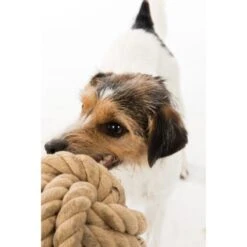 Trixie BE NORDIC Tau-Ball 18cm -Ruffwear Verkäufe 2026 1f7fb2f6aa41b9eda5c2948d6d177e65789848a0 1317741 de DE Trixie be nordic Tau Ball wb 2