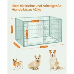 FEANDREA Welpenauslauf 4-teilig Schwarz Mintgrün -Ruffwear Verkäufe 2024 224c77aaf5680958d3354ea8db1a602877470bbf 1500915 de DE 037d3f346d915f36c8974a9cb17670b83a182474Anl1ai