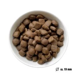 Eat Small EatSmall 2kg Maxi Active Trockenfutter -Ruffwear Verkäufe 2024 22e161dfc285ae2a6a1e5a0dc3dd026c918ef066 1450723 de DE 7be7b6abbd10a501ad4eda906b0ca458956766a1CXCEHe