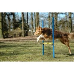 Dobar 3-teiliges Agility Sprung-Set,, Inkl. Tragetasche -Ruffwear Verkäufe 2024 23438a1c89953580debb447a4f2a6705cf109122 9daba483a29d35b05cf9df2cf0269c15e7db3ed2