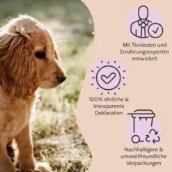 FAVLY Petfood PURE Bites Hirsch 360 G -Ruffwear Verkäufe 2024 236dbc85f5fb75ec5fb4367bde1445e3087ffdcd 1474003 de DE 80624b888460a5c29f043365a19496292e44fd84TlIvR8