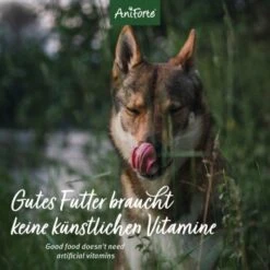 Aniforte Rind Pur 2,4 Kg -Ruffwear Verkäufe 2024 24ad40a3bea859ad767ebfe275c4652766ecf919 1422178 de DE 12b8cfe33ee675107bc8329d05c3a48ecec8adbaWiJxo9